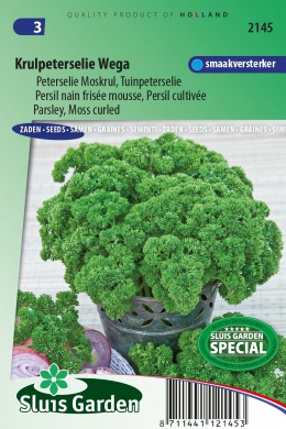 Parsley Wega (Petroselinum crispum) 1650 seeds